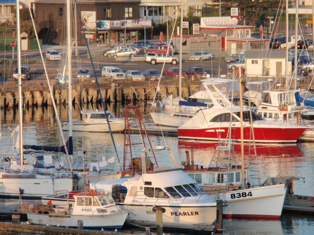 Marina View Apartments ギズボーン エクステリア 写真